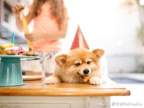 肉類副產品做寵物零食 在發達地區引領寵物行業新風向